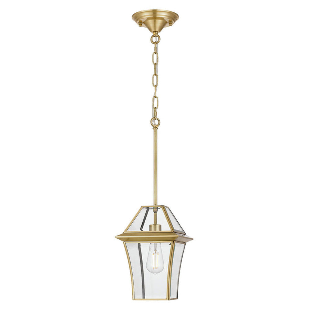 Buy Outdoor Pendant Lights Australia Rye 20 1 Light Pendant Brass, Clear RYE PE20-BRS