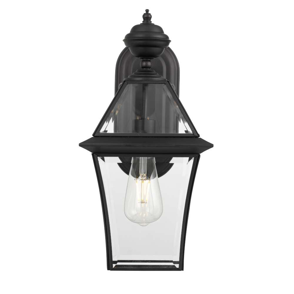 Buy Outdoor Wall Lanterns Australia Rye 1 Light Wall Light IP44 Black & Clear - RYE EX20-BK
