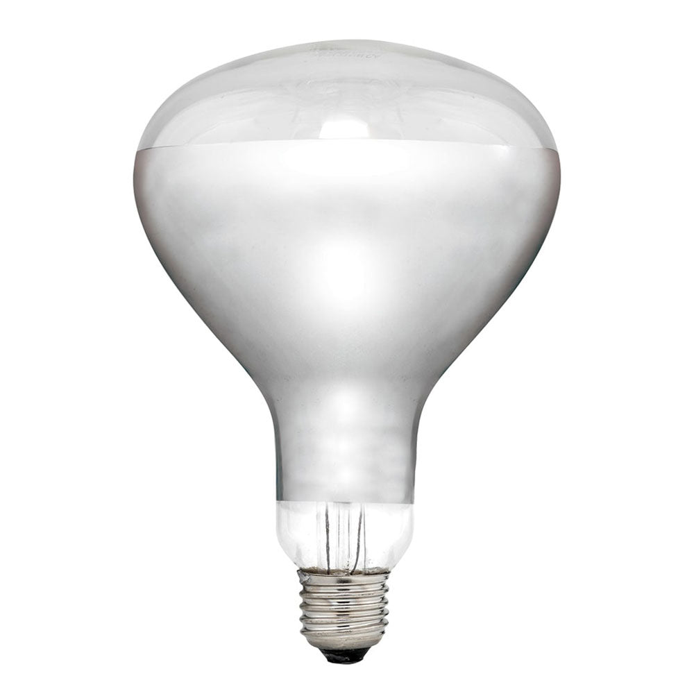 R125 Infrared Heat Globe ES White Glass 275W - 18782