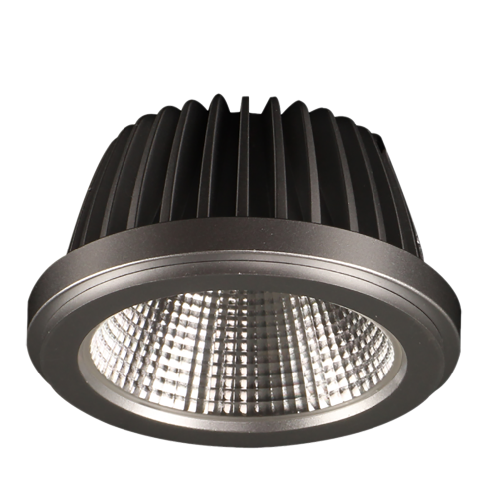 LED Module 20W Aluminium 4000K - AR111/1700CW LED