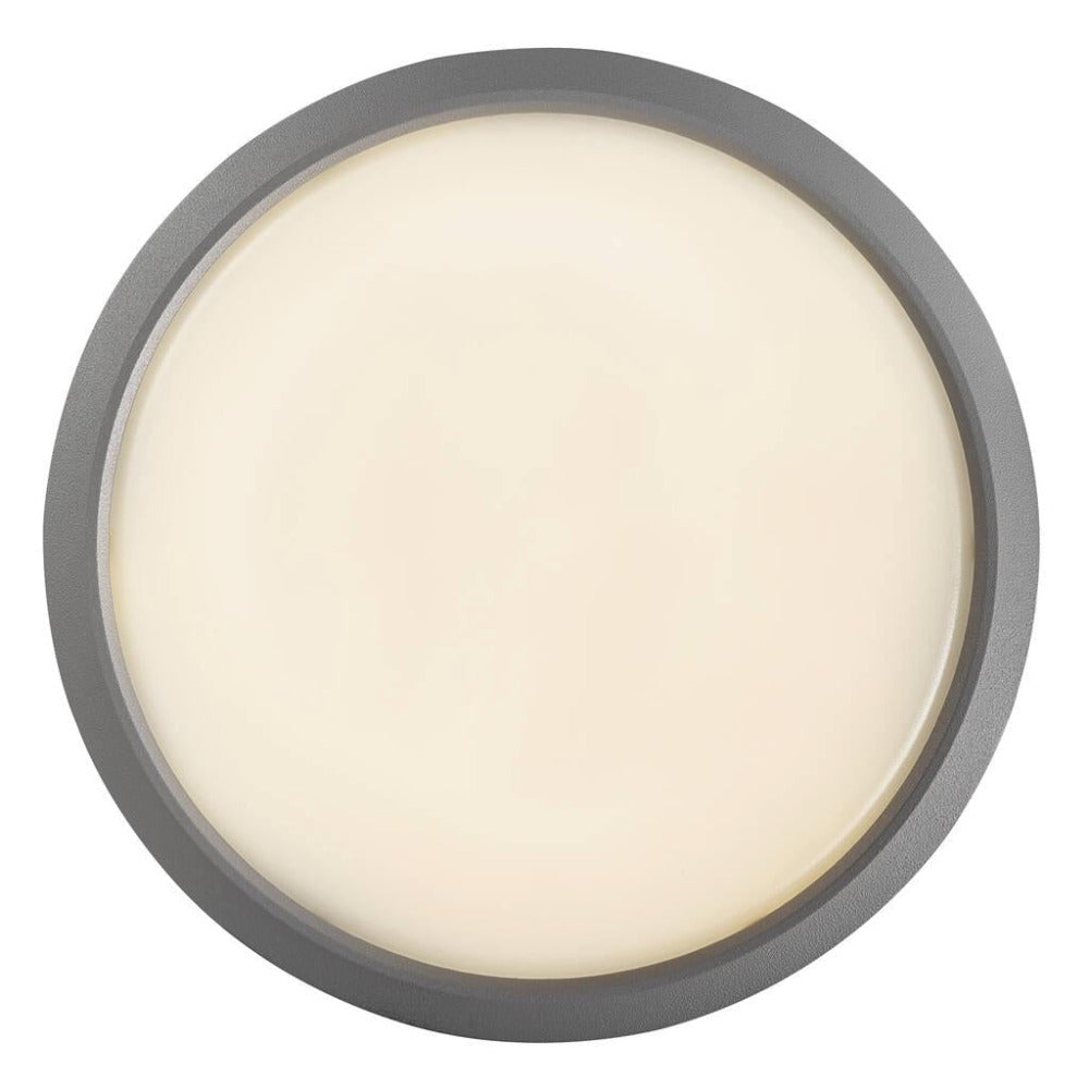 Buy Flush Mount Lights Australia Ava 9.5W LED Ceiling Light Grey - 2019016010