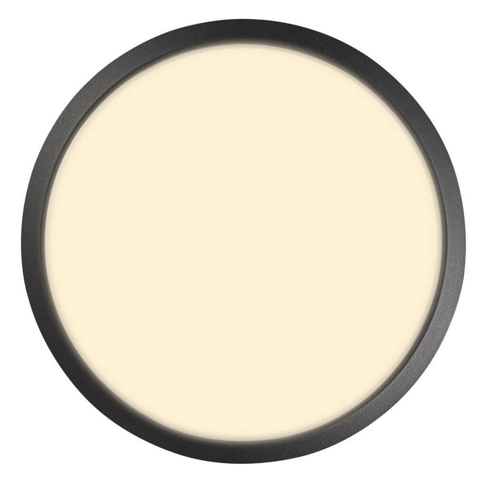 Buy Flush Mount Lights Australia Ava 9.5W LED Ceiling Light Black - 2019016003