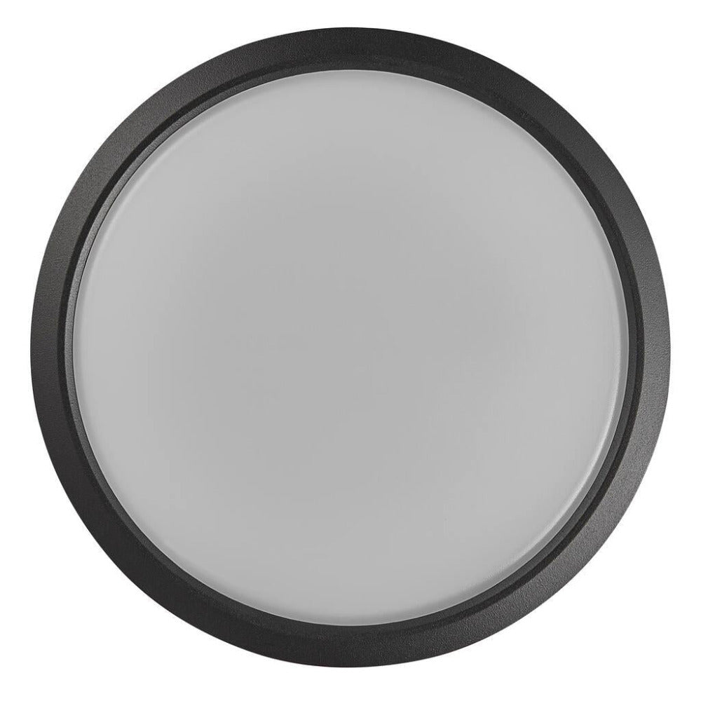 Buy Flush Mount Lights Australia Ava 9.5W LED Ceiling Light Black - 2019016003