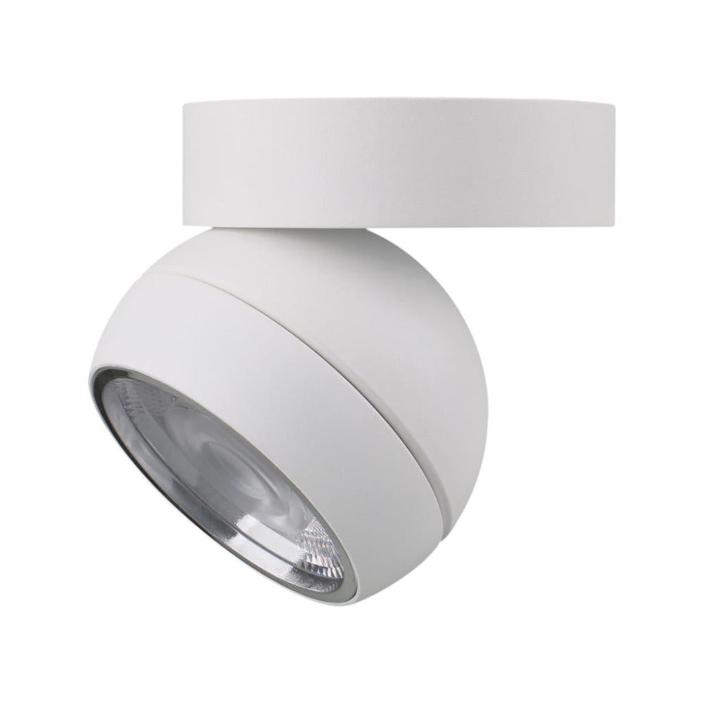 Moon Flush Mount Light Flood White 3CCT - 22813