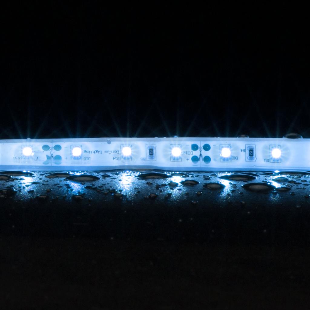 Buy LED Strip Lights Australia STRIP-60-WP Flexible 60 LED Strip - 4.8W 12V Blue - 20052