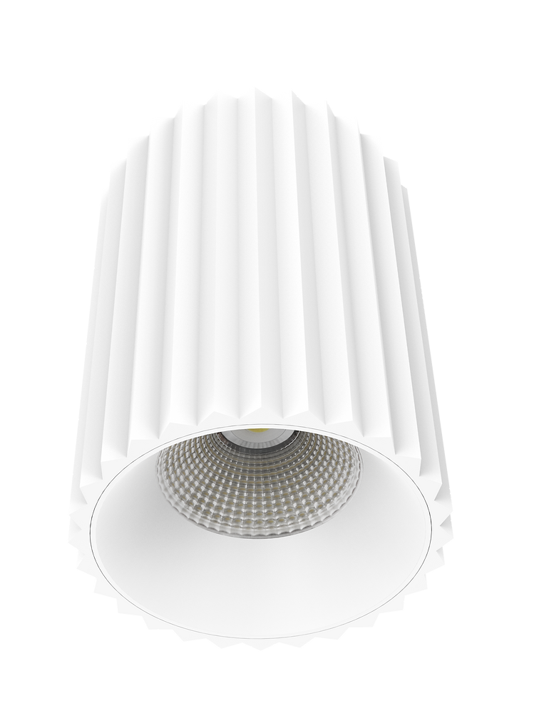 Exterior 180mm LED Surface Mounted Downlight White - DL13618-MW5CTP253036C02