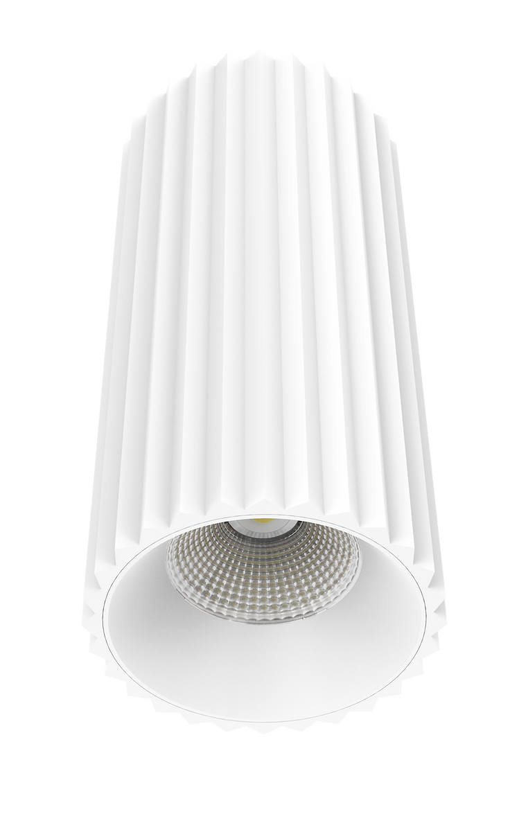 Exterior 190mm LED Surface Mounted Downlight White - DL9019-MW5CTP152025C02