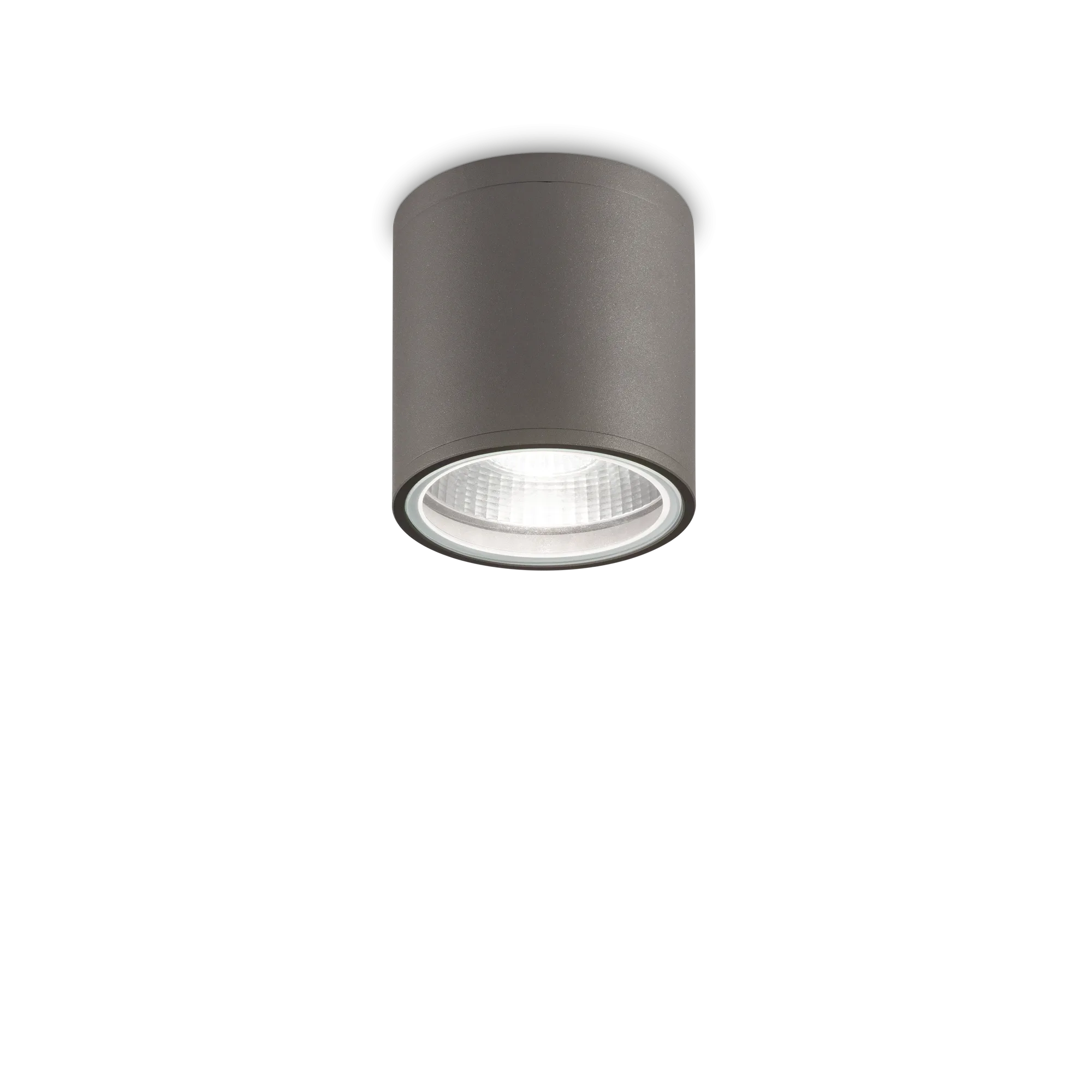 Gun PL1 Surface Mounted Downlight Anthracite - 236865