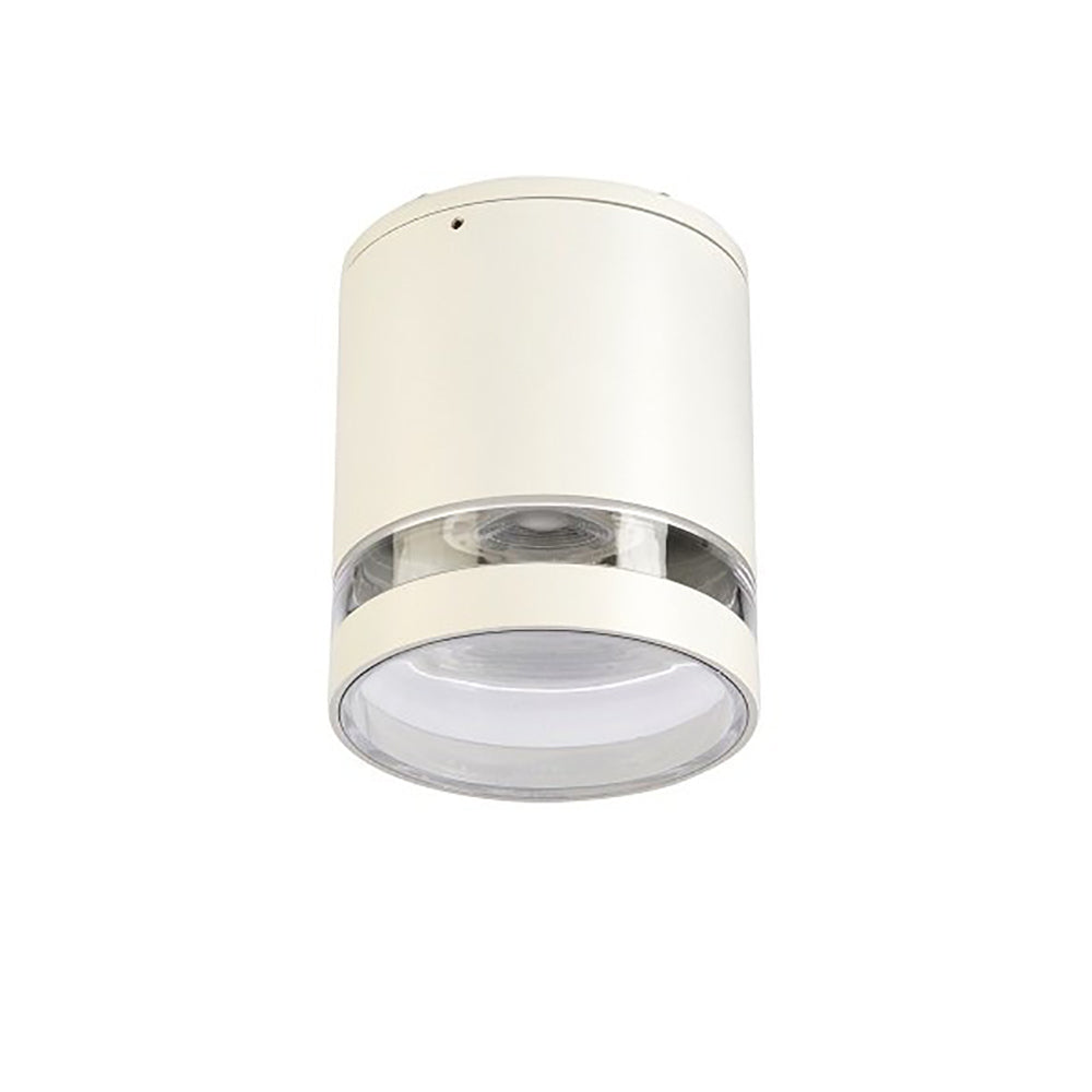 Buy Surface Mounted Downlights Australia Fiorentino Lighting - BARDO Surface Mounted DL IP44 White