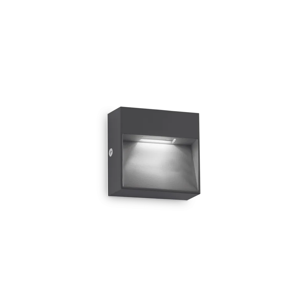 Dedra Large Exterior Wall Light 1.5W 3000K Anthracite - 316871