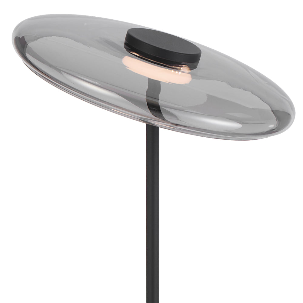 Amity LED Floor Lamp 12W 3000K  Black & Smoke - AMITY FL35-BKSM