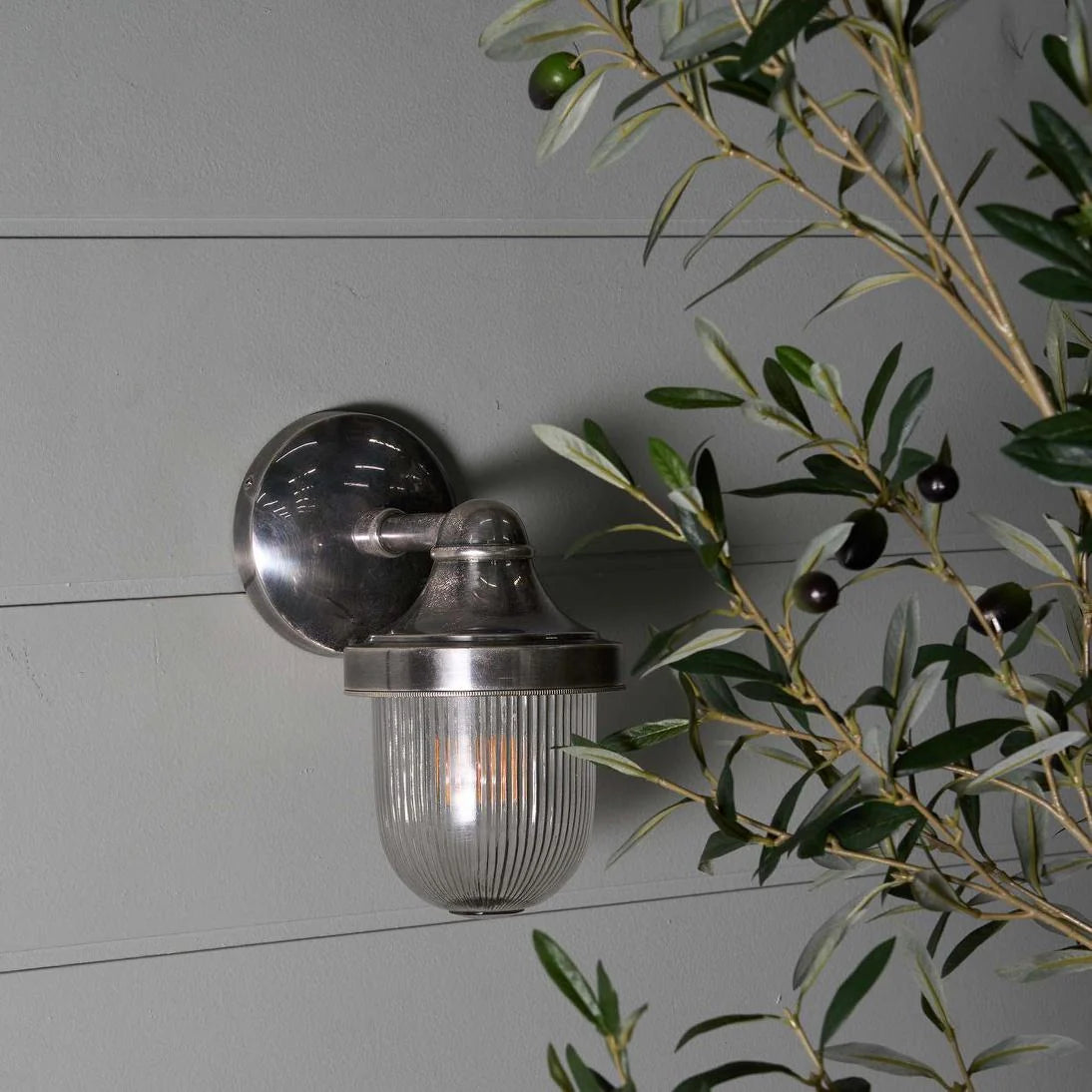 Jade Outdoor Wall Light Silver & Clear - ELPIM31070AS