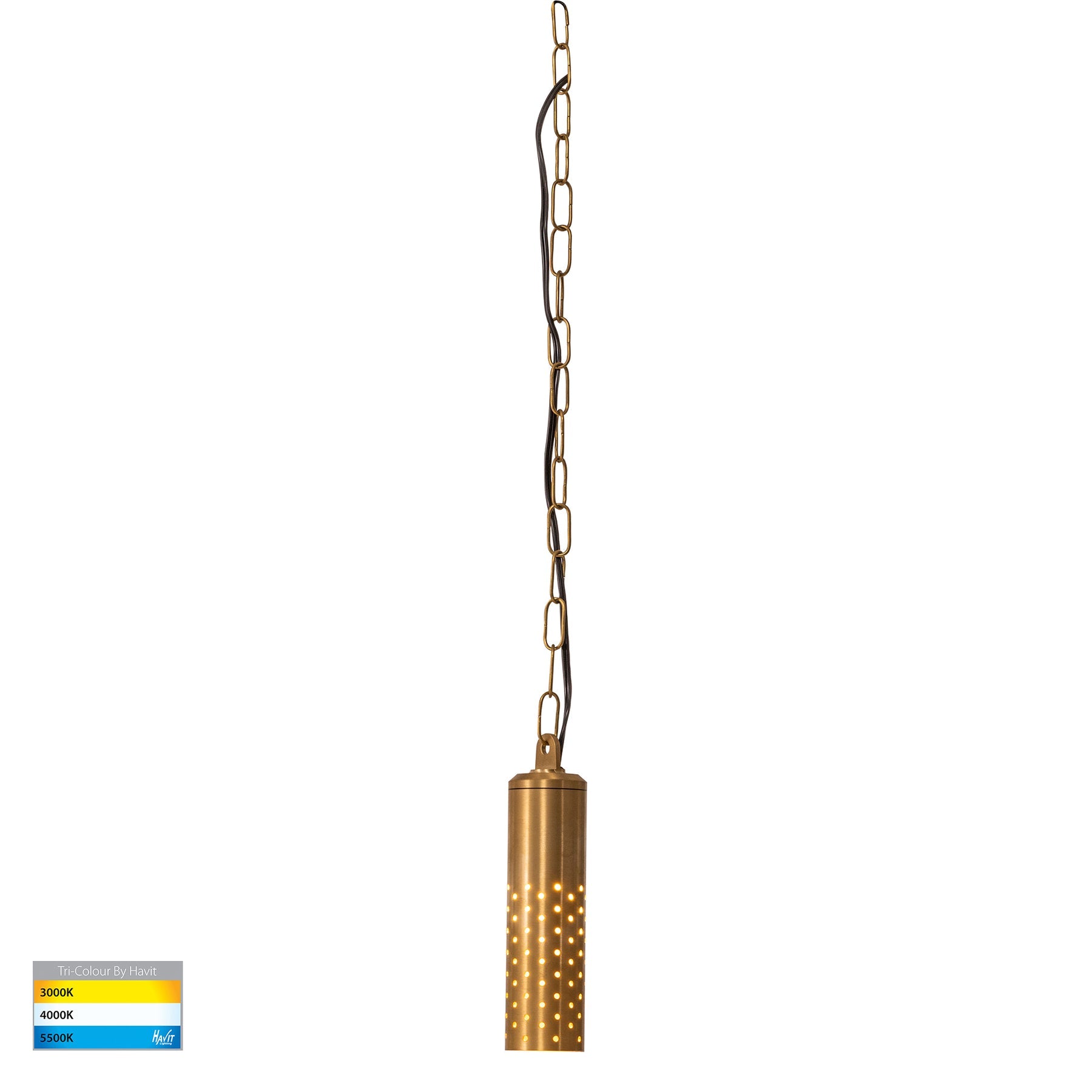 Willow Solid Brass LED Pendant Light Brass Tri Colour - HV5901T-BR-12V