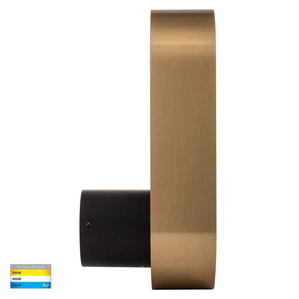 Buy Wall Sconce Australia Ovale LED Wall Sconce Brass / Black 3CCT - HV8080T-BLKBR