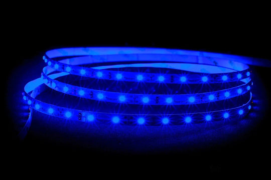 4.8W 12V DC IP20 LED Strip Blue 20 Metre - HV9723-IP20-60-B-20M