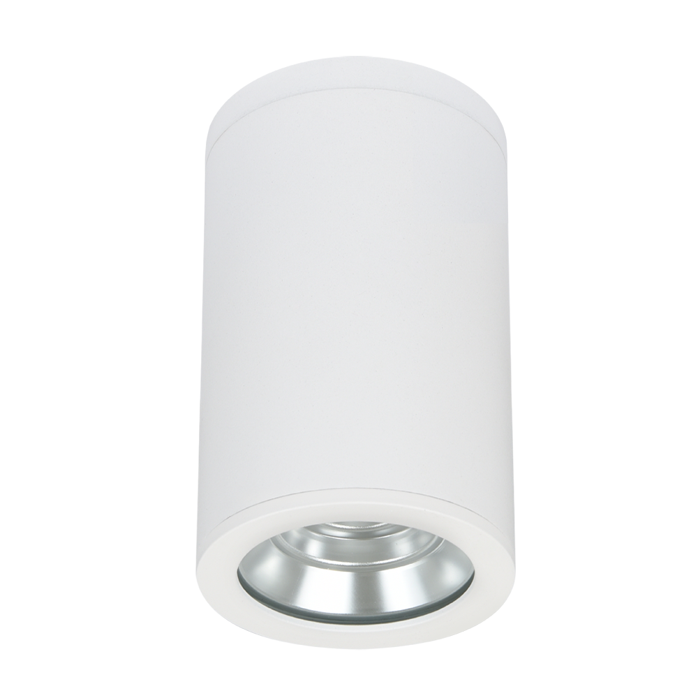 Buy Surface Mounted Downlights Australia Jenlite Surface Mounted Downlights White Metal 4000K -173284