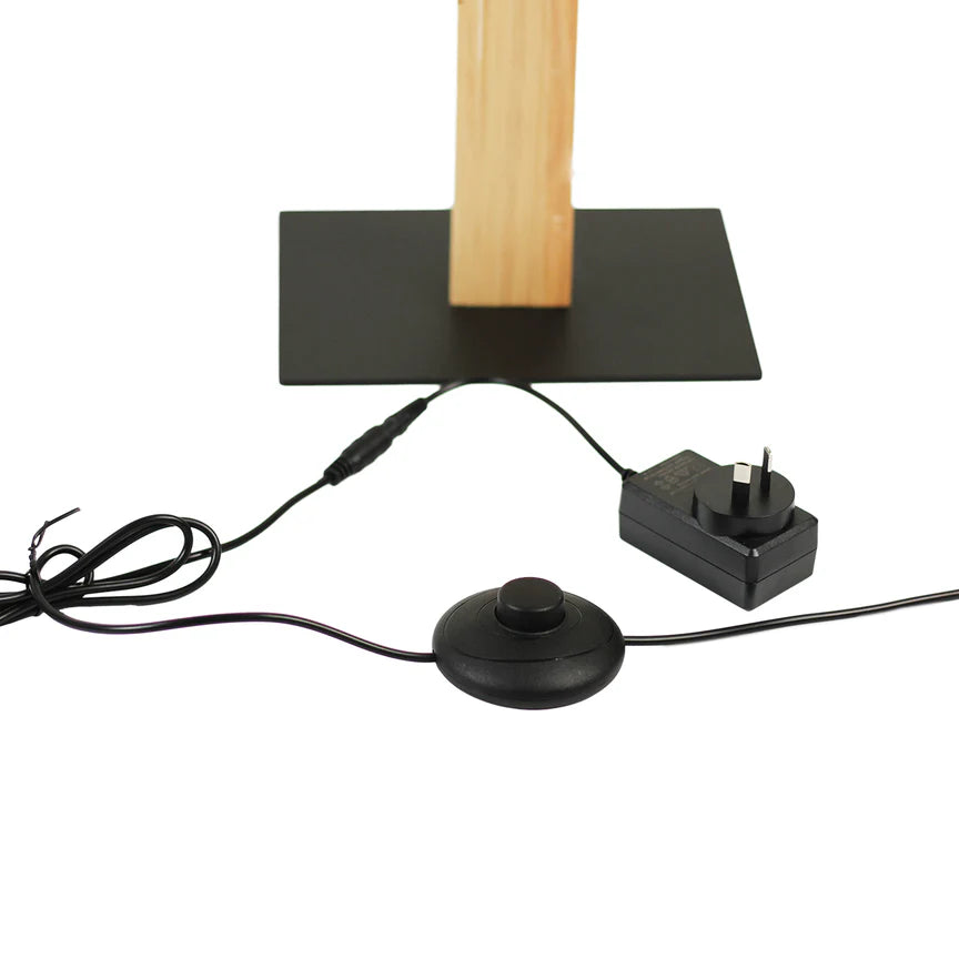 Rectara LED Floor Lamp 15W 2600K Natural & Black - LL-LED-25