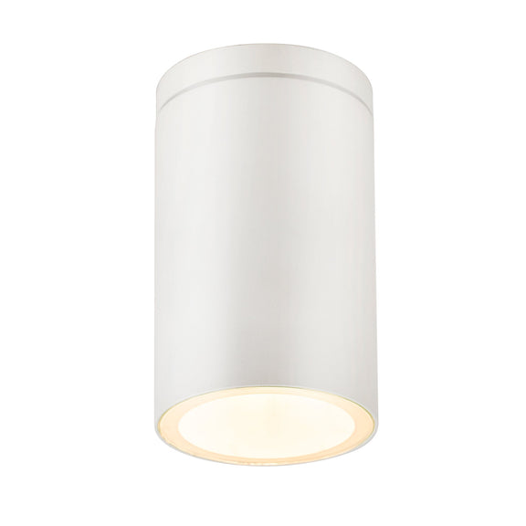Myren Outdoor Close to Ceiling Light White - LLOL042W