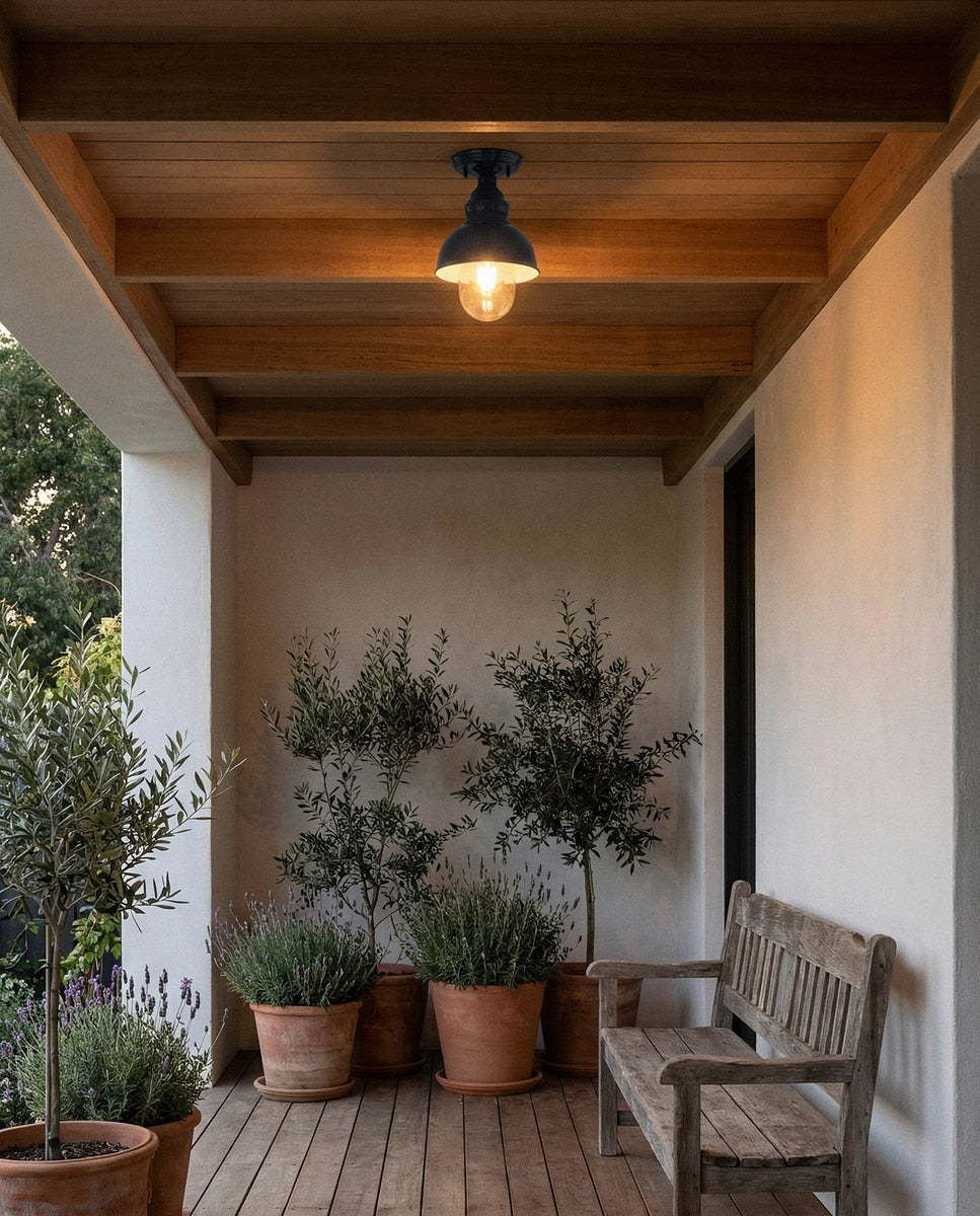 Parkway Small Outdoor Close to Ceiling Light French Blue & Clear - 1001706