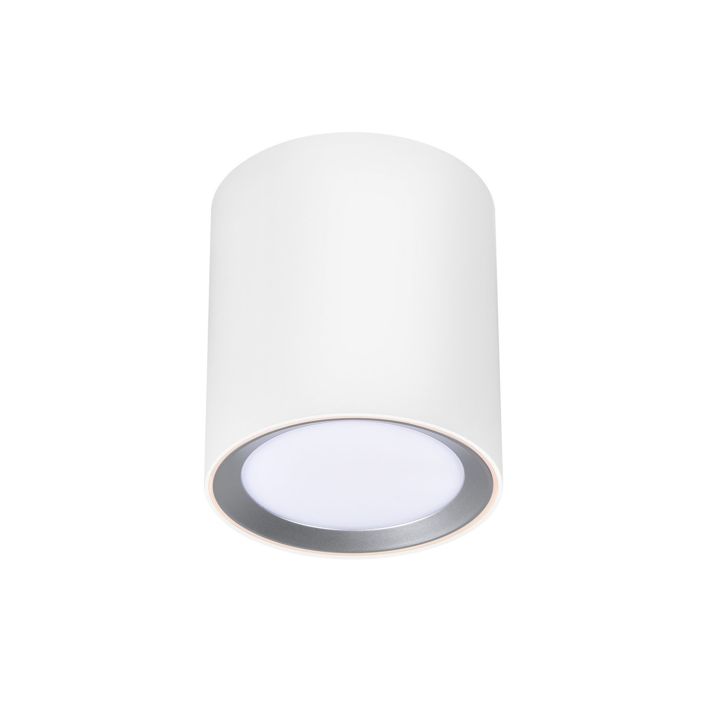 Landon Smart LED Surface Mounted Downlight White - 2110850101