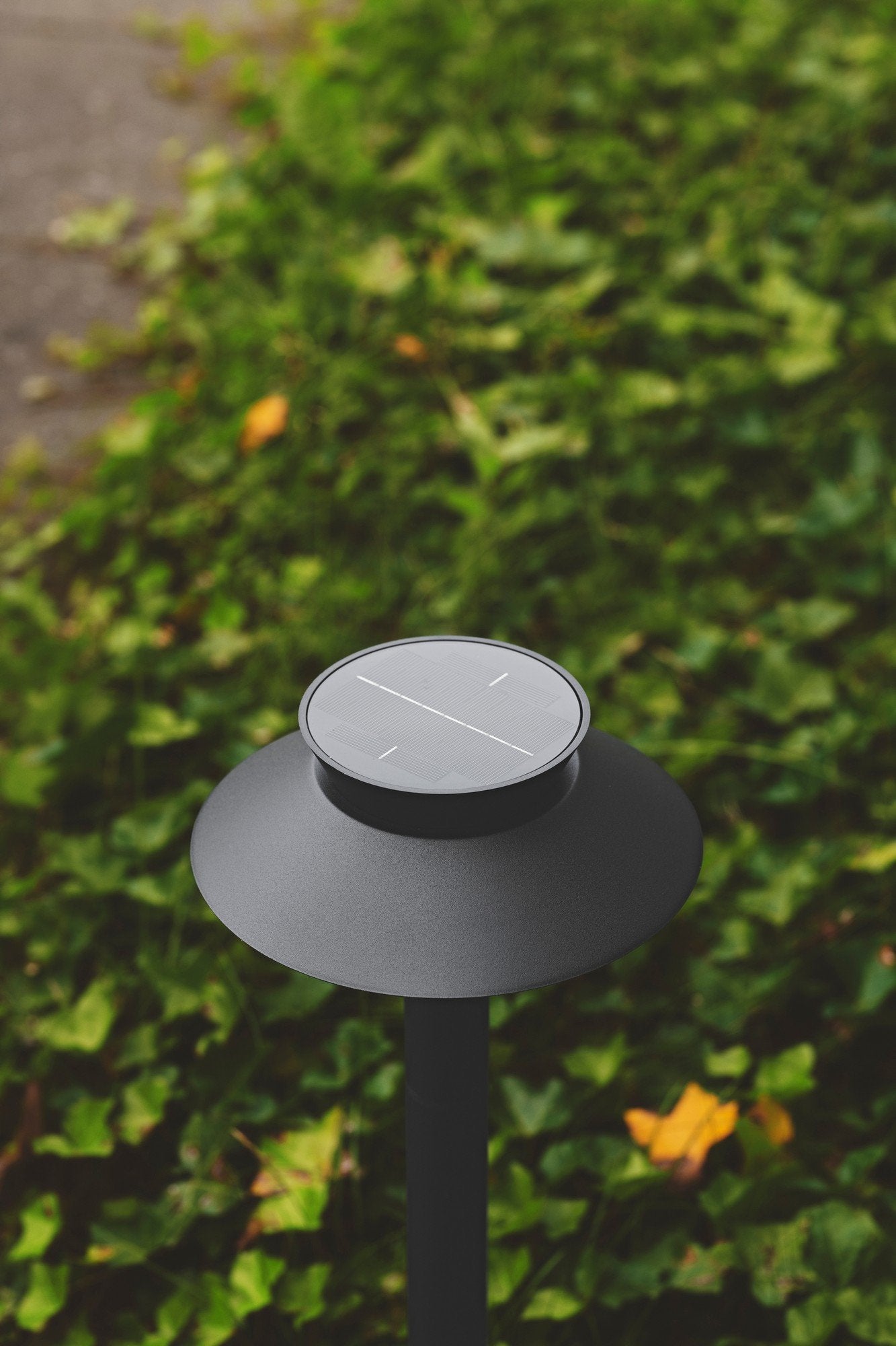 Justina Solar Garden light 5W 3000K Black - 2418098003