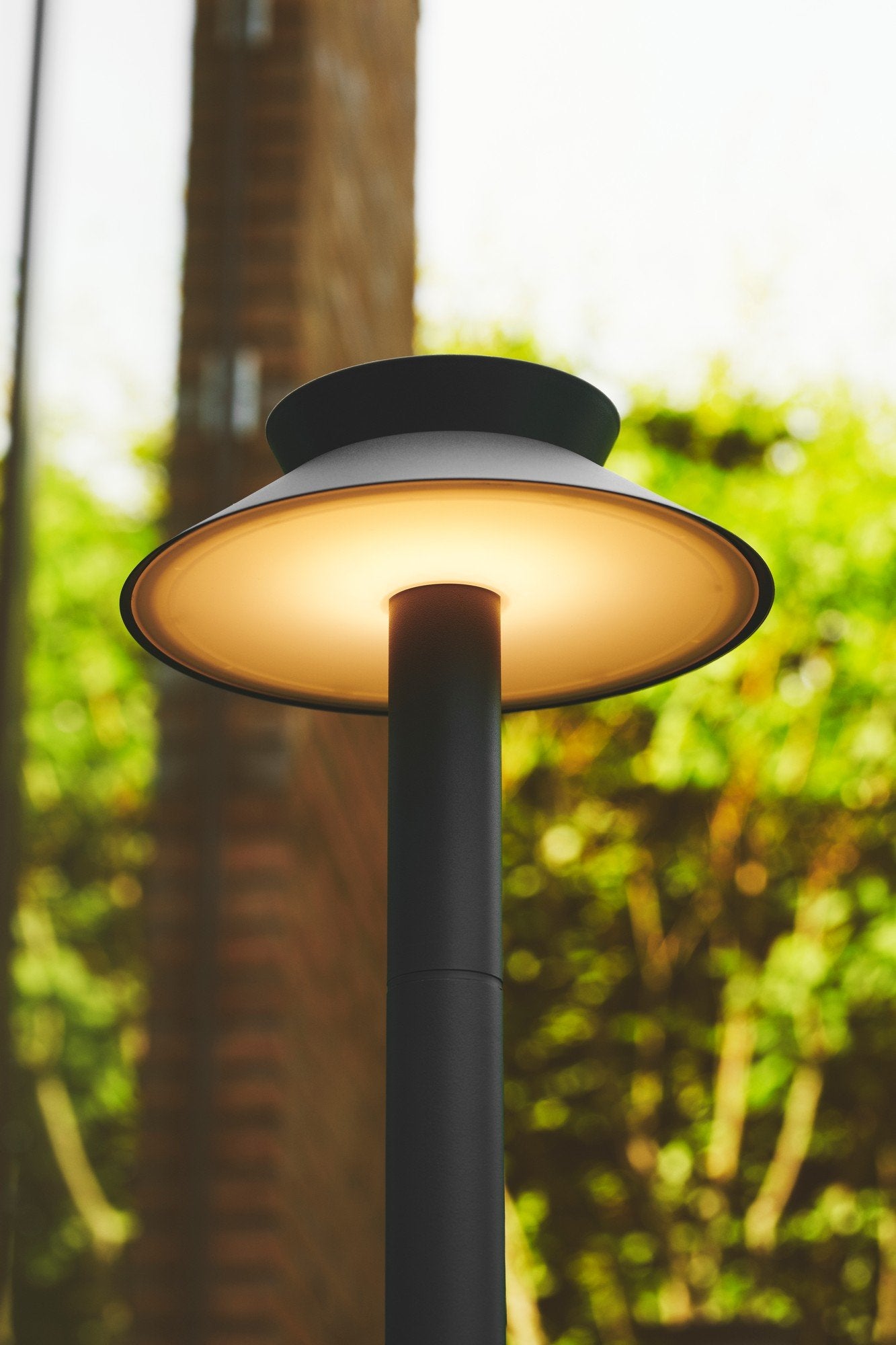 Justina LED Garden Solar Light 5W 3000K Anthracite - 2418098050