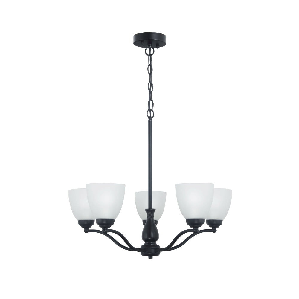 Buy Pendant Lights Australia Rochester Pendant 5 Lights Black - OL65321/5BK