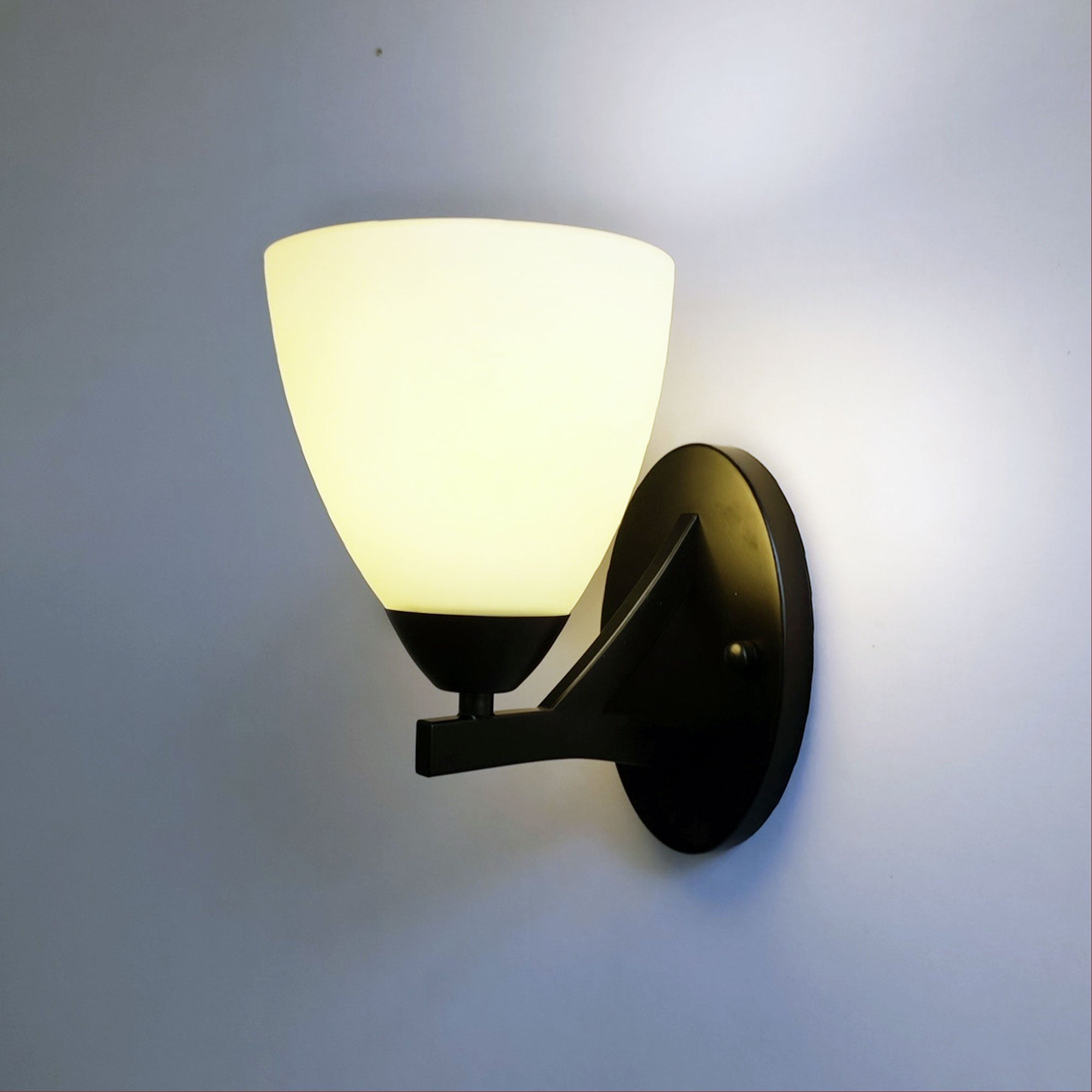 Roxby Wall Light Black & Opal - OL65821BK