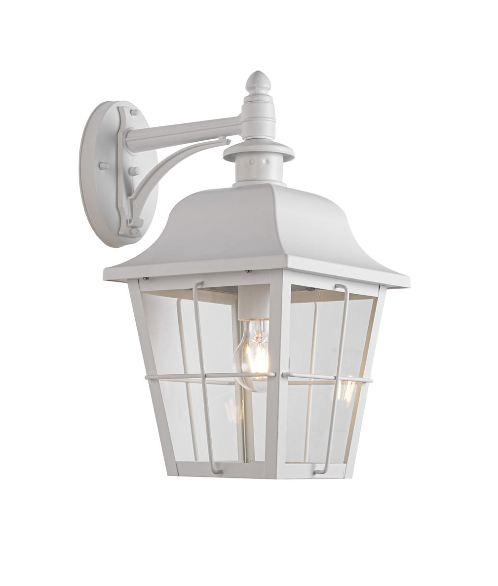 Trenero Surface Mounted Coach Wall Light Matte White & Clear - TRENERO2