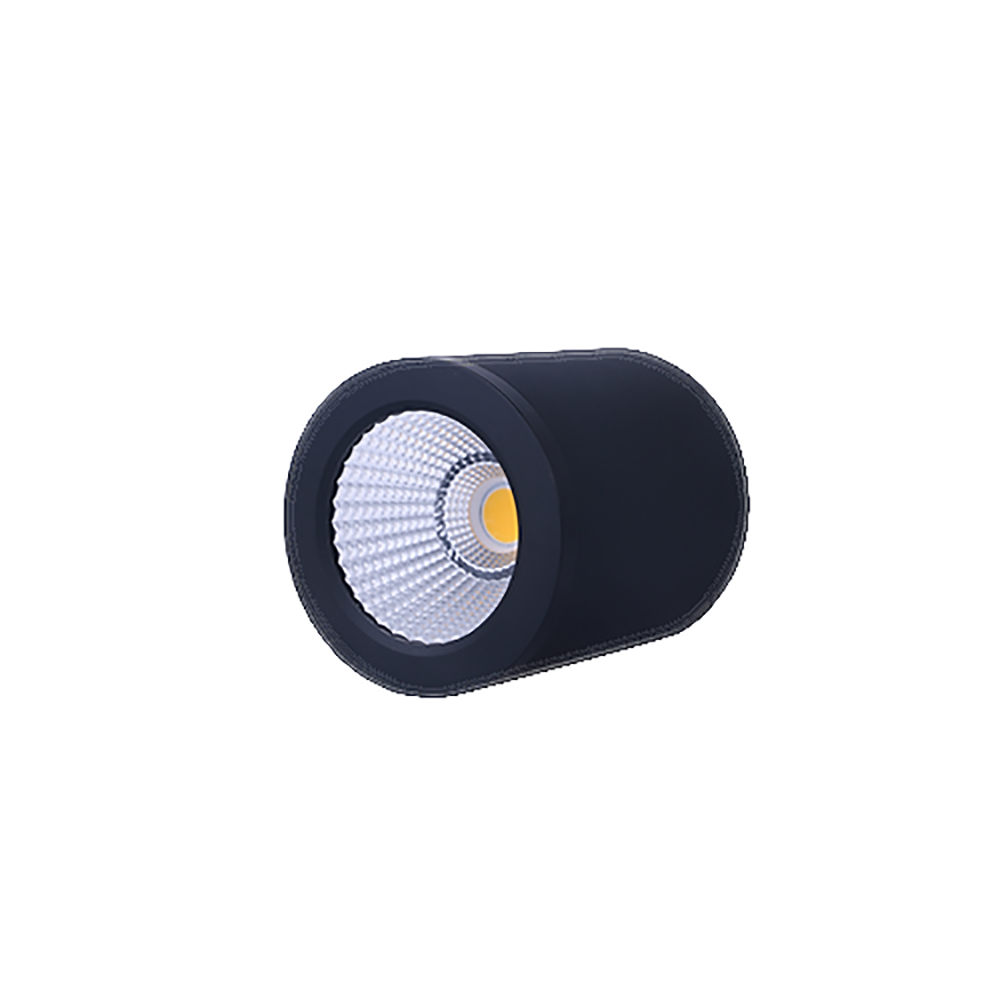 Buy Surface Mounted Downlights Australia LED Surface Mounted Downlight Black Aluminum 30W TRI Colour - DL3082/BK/TC-P