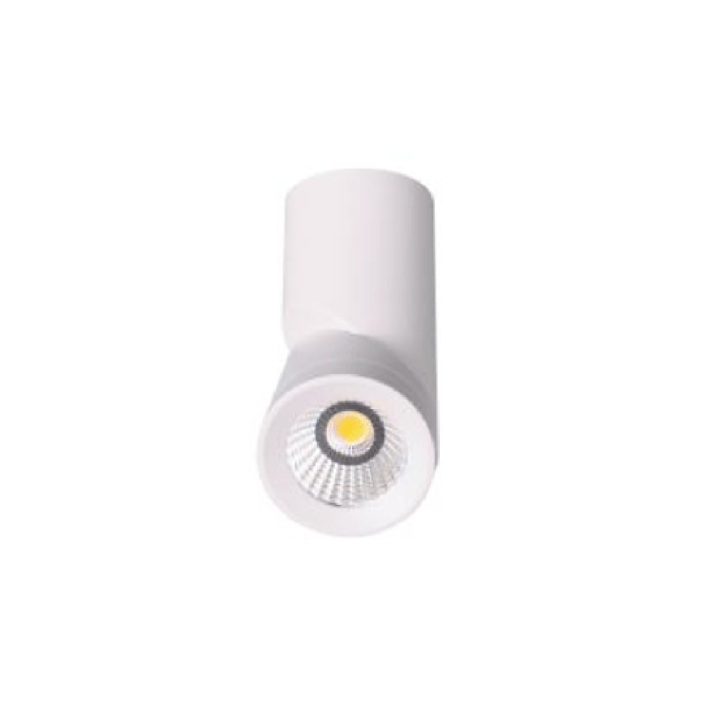 Surface Mounted Downlight W60mm White - DL2034/WH