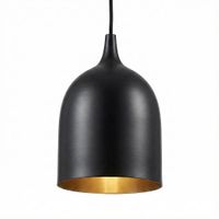 Lumi-R 1 Light Pendant Black Label Silver - ELLUM27BLKSIL