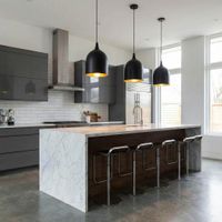 Lumi-R 1 Light Pendant Black Label Silver - ELLUM27BLKSIL