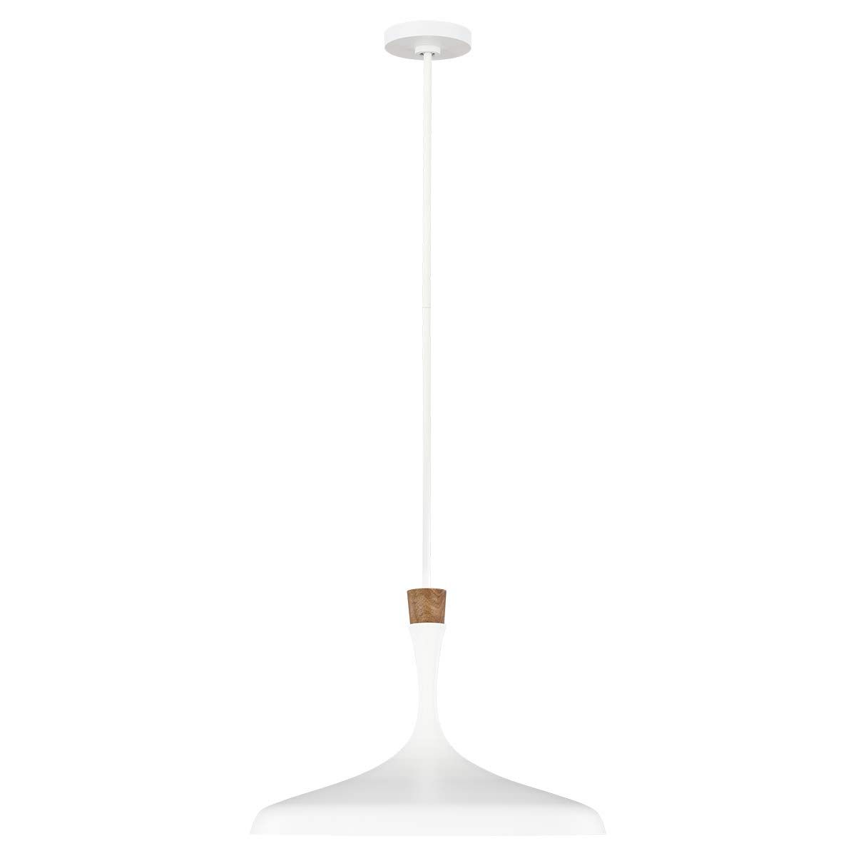 Darwin 1 Light Pendant Matte White with Wood accent - FE-DARWIN-P