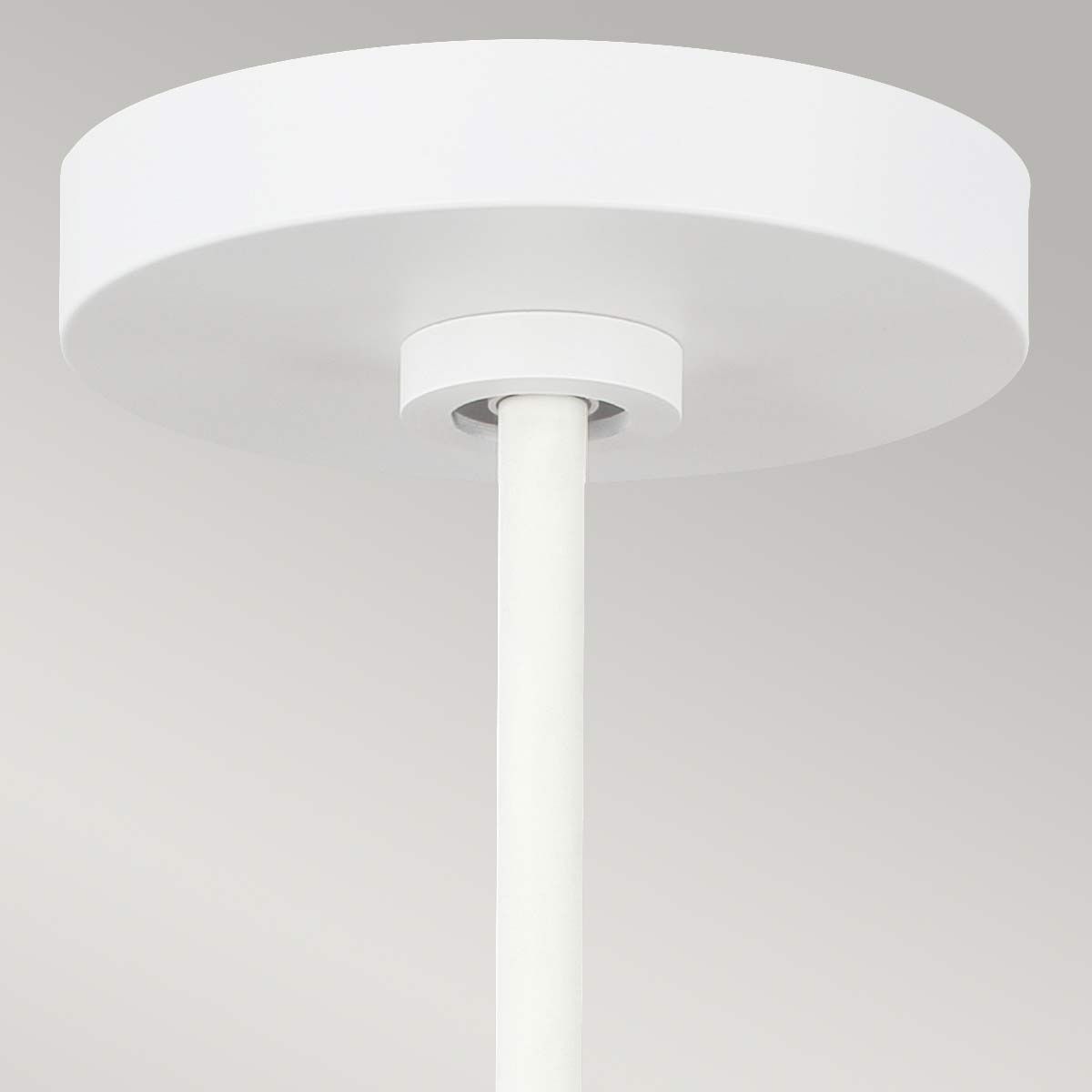 Darwin 1 Light Pendant Matte White with Wood accent - FE-DARWIN-P