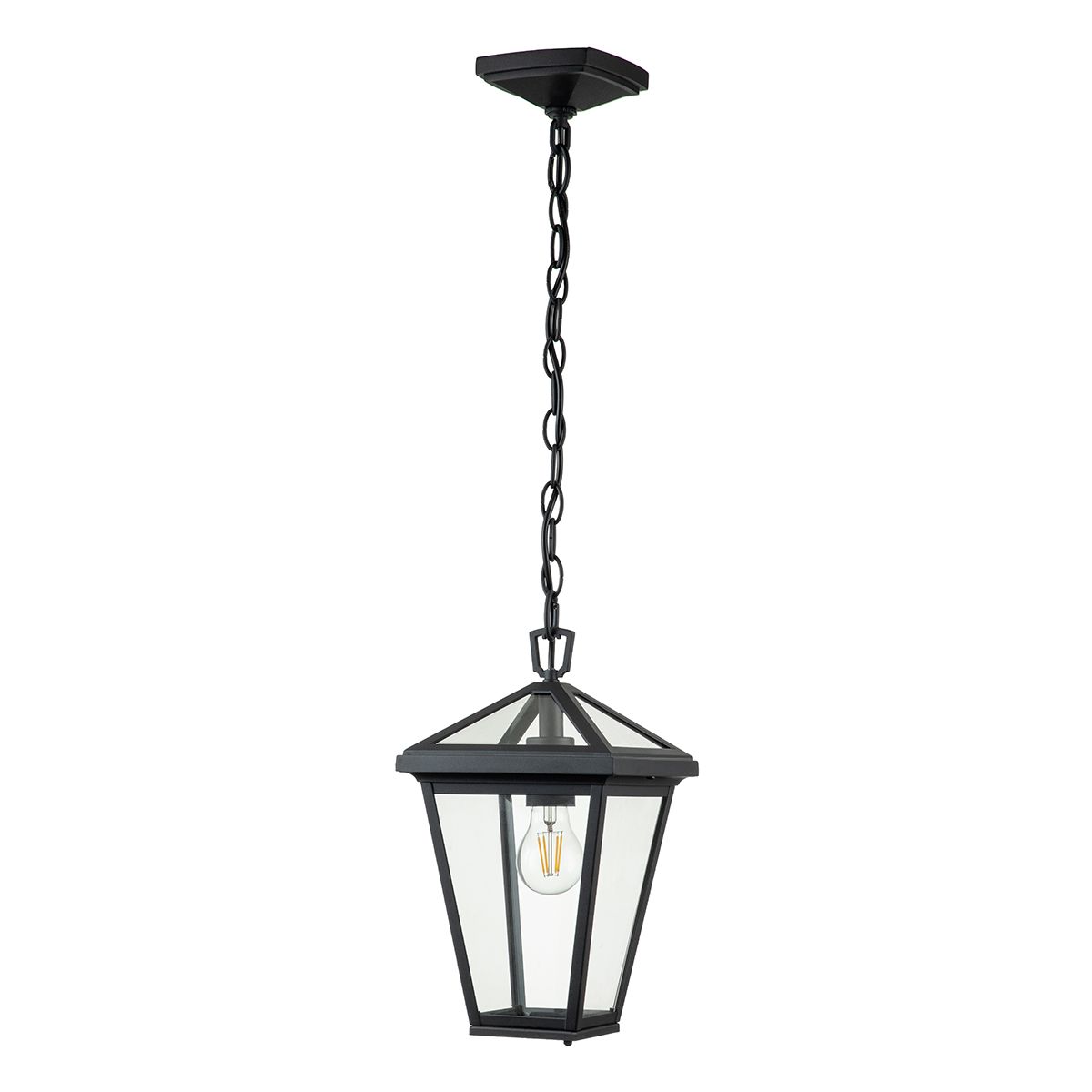 Alford Place Small 1 Light Pendant Museum Black & Clear - QN-ALFORD-PLACE8-S-MB