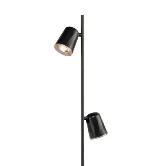 Buy Floor Lamps Australia Kalla 2X6W LED Floor Lamp Black - 21427/06