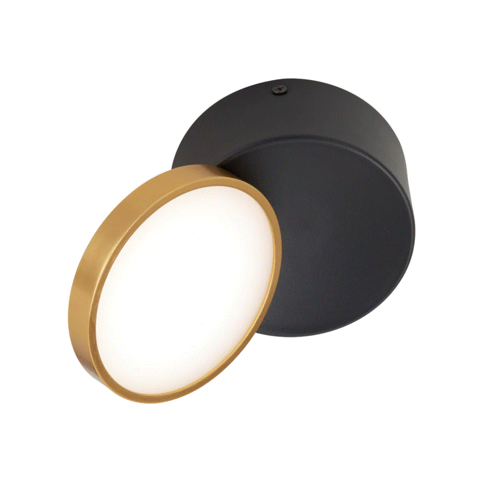 Buy Surface Mounted Downlights Australia Netra LED Surface Mounted Downlight Black Gold 3 CCT - NETRA DL15-BKGD