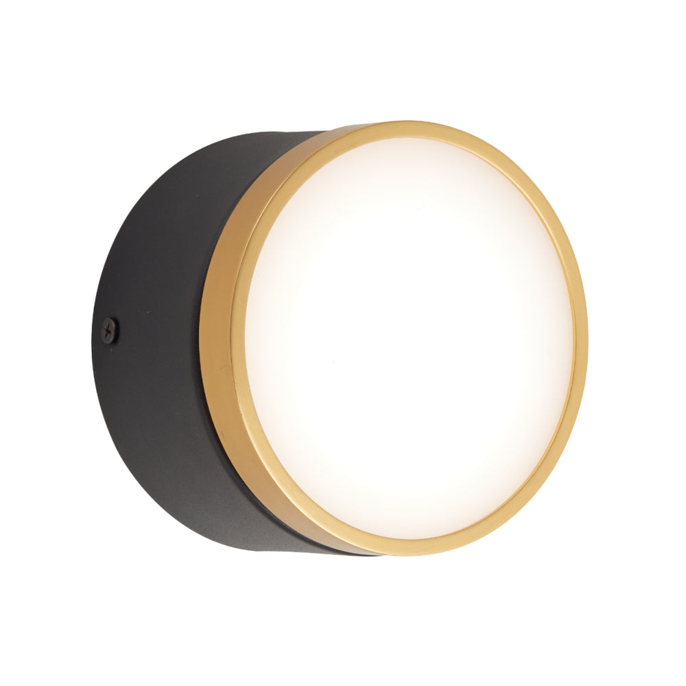 Buy Surface Mounted Downlights Australia Netra LED Surface Mounted Downlight Black Gold 3 CCT - NETRA DL15-BKGD