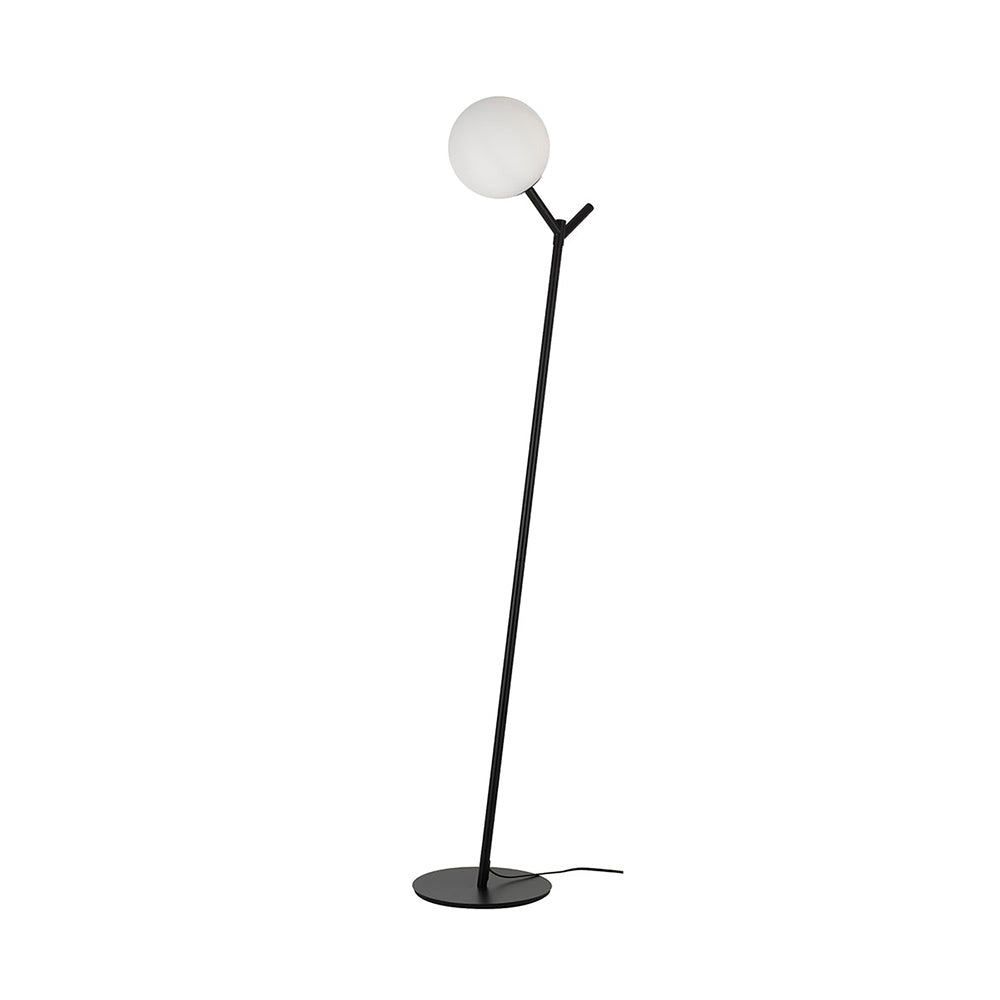 Buy Floor Lamps Australia Ohh 1 Light Floor Lamp Black & Opal Matt - OHH FL-BKOM