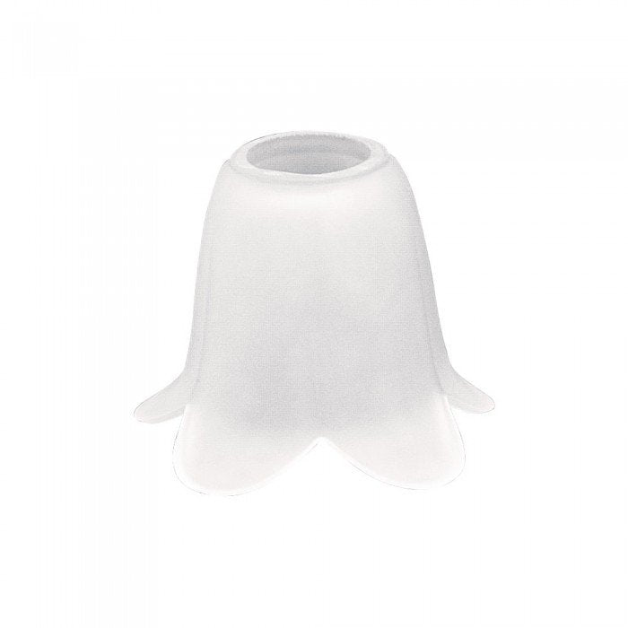 Buy Uncategorized Australia Acid Flower Glass Shade - Q697