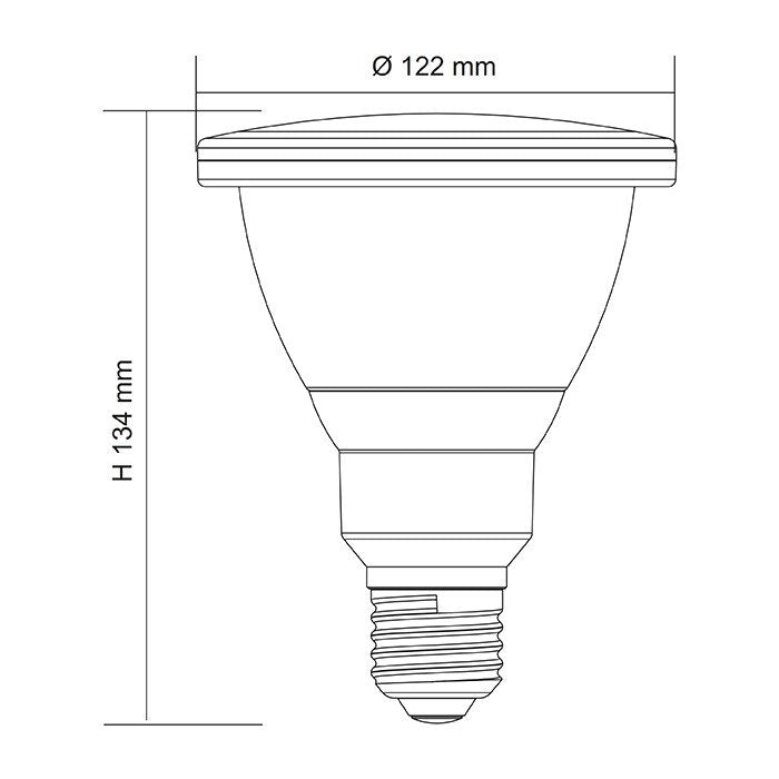 Buy LED Globes Australia LED Globe 240V 12W ES Opal Polycarbonate 3CCT - LPAR38TC