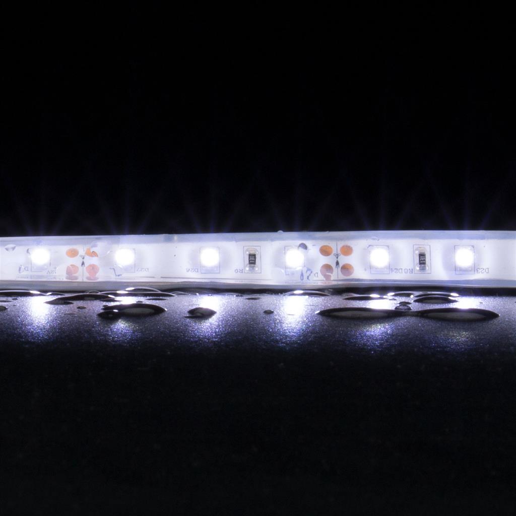 Buy LED Strip Lights Australia STRIP-60-WP Flexible 60 LED Strip - 4.8W 12V 6500K - 20050